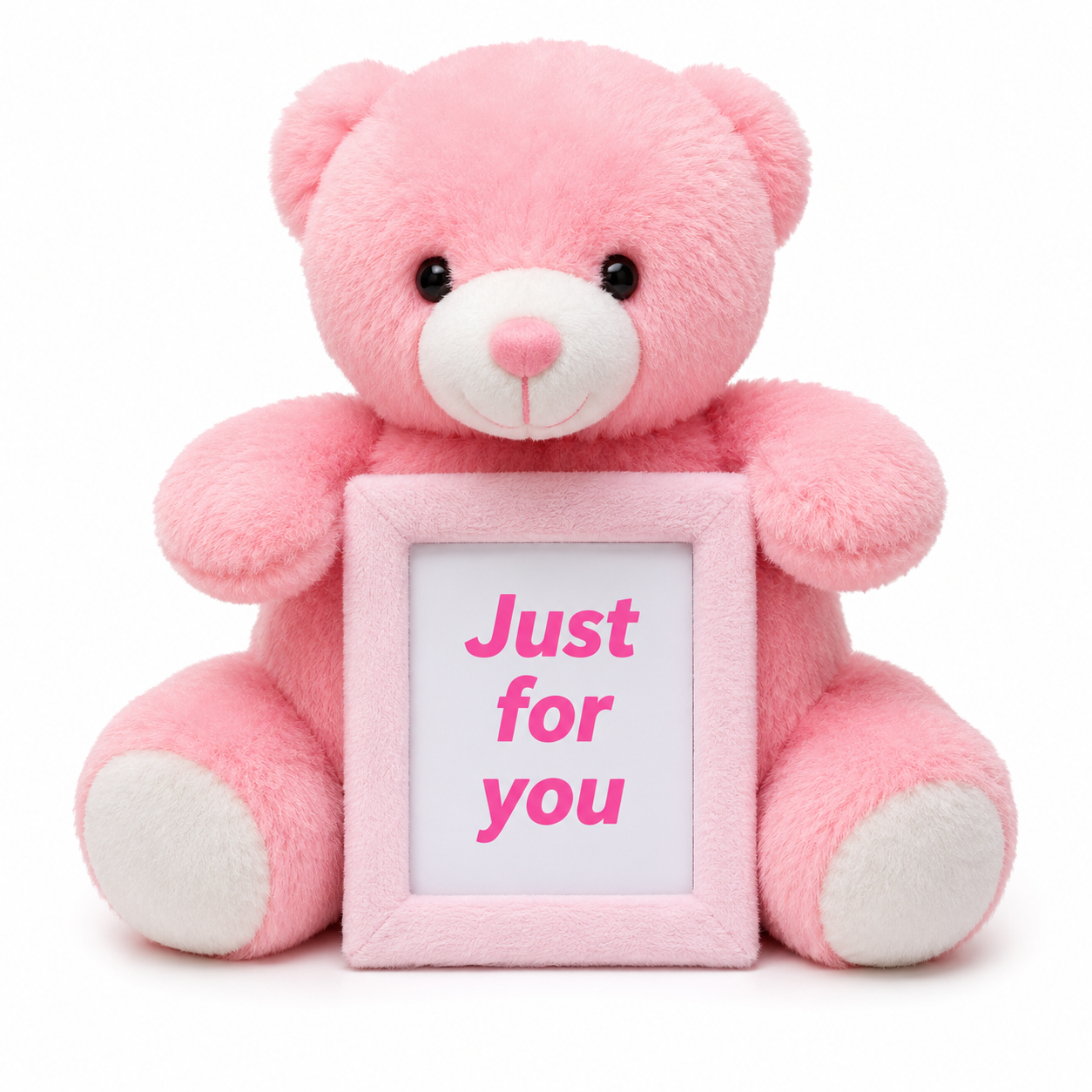 Teddy Bear with Frame