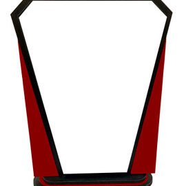 Best Sublimation Trophy (Pack of 5) | A4Skart
